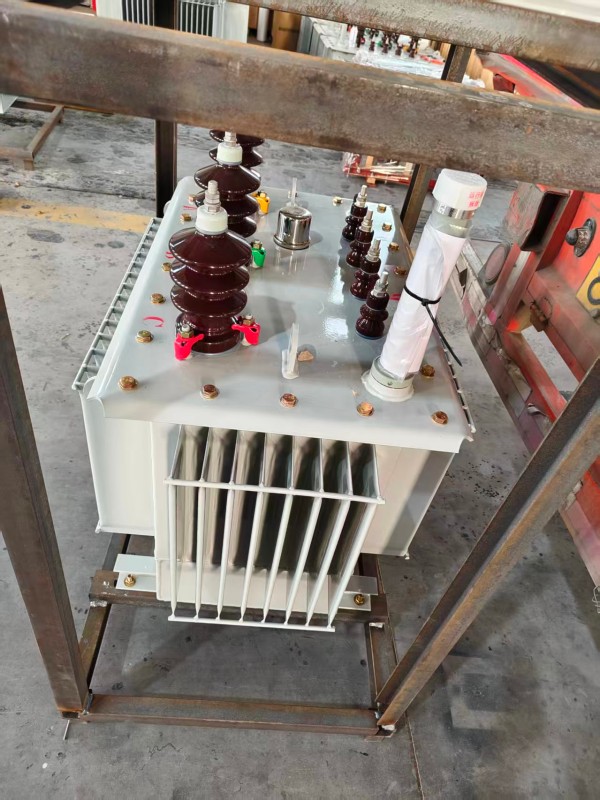 S13‑1000kVA <a href='https://dancheng.xdbyq.cn/youjinshi/' target='_blank' title='郸城油浸式变压器'><strong>郸城油浸式变压器</strong></a> 大型厂区 S13 郸城郸城郸城油浸式变压器 S13‑1000kVA 郸城郸城郸城油浸式变压器 大型厂区 S13 郸城郸城郸城油浸式变压器